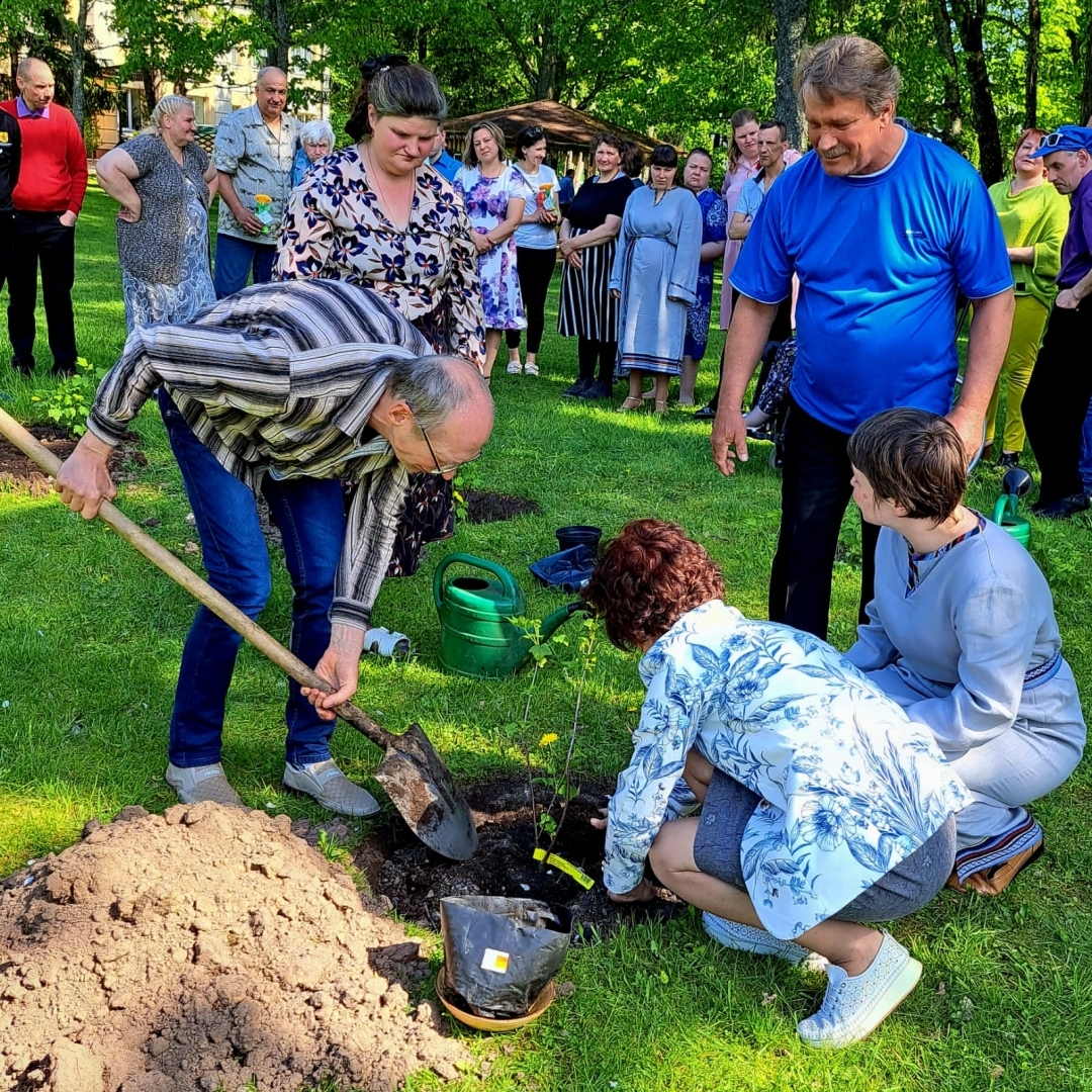 Cilvēki stāda kokus